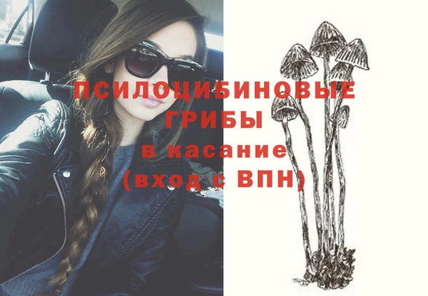 прущий лед Абаза