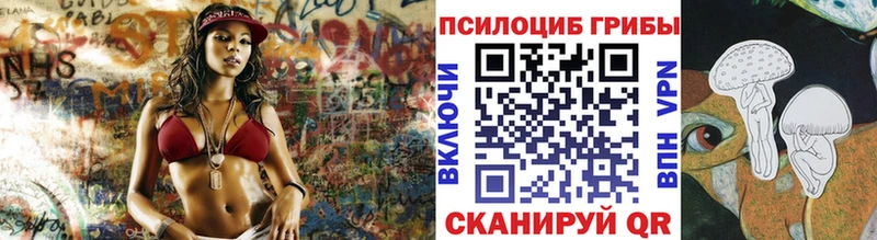 blacksprut Ступино Галлюциногенные грибы Psilocybine cubensis
